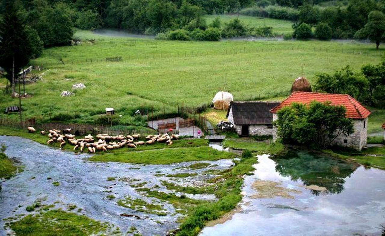 Hotel Rosi Gusinje Екстер'єр фото