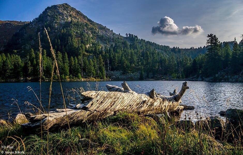 Hotel Rosi Gusinje Екстер'єр фото